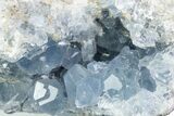 Sparkling Celestine (Celestite) Geode - Madagascar #376134-1
